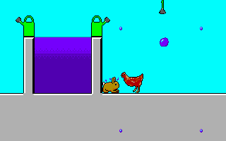 Don't mess with the hens