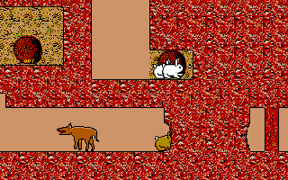 Bunny escapes from a vicious dog.