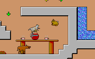 Bunny tackles a dog and a cat